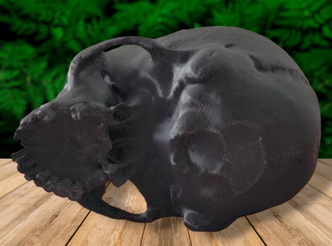 Scanned Human Skull Planter with Optional Drainage