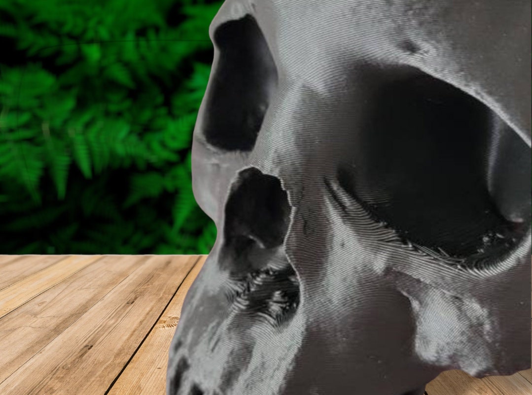 Scanned Human Skull Planter with Optional Drainage