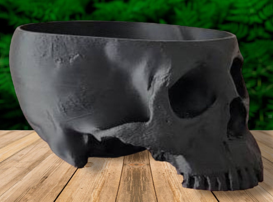 Scanned Human Skull Planter with Optional Drainage