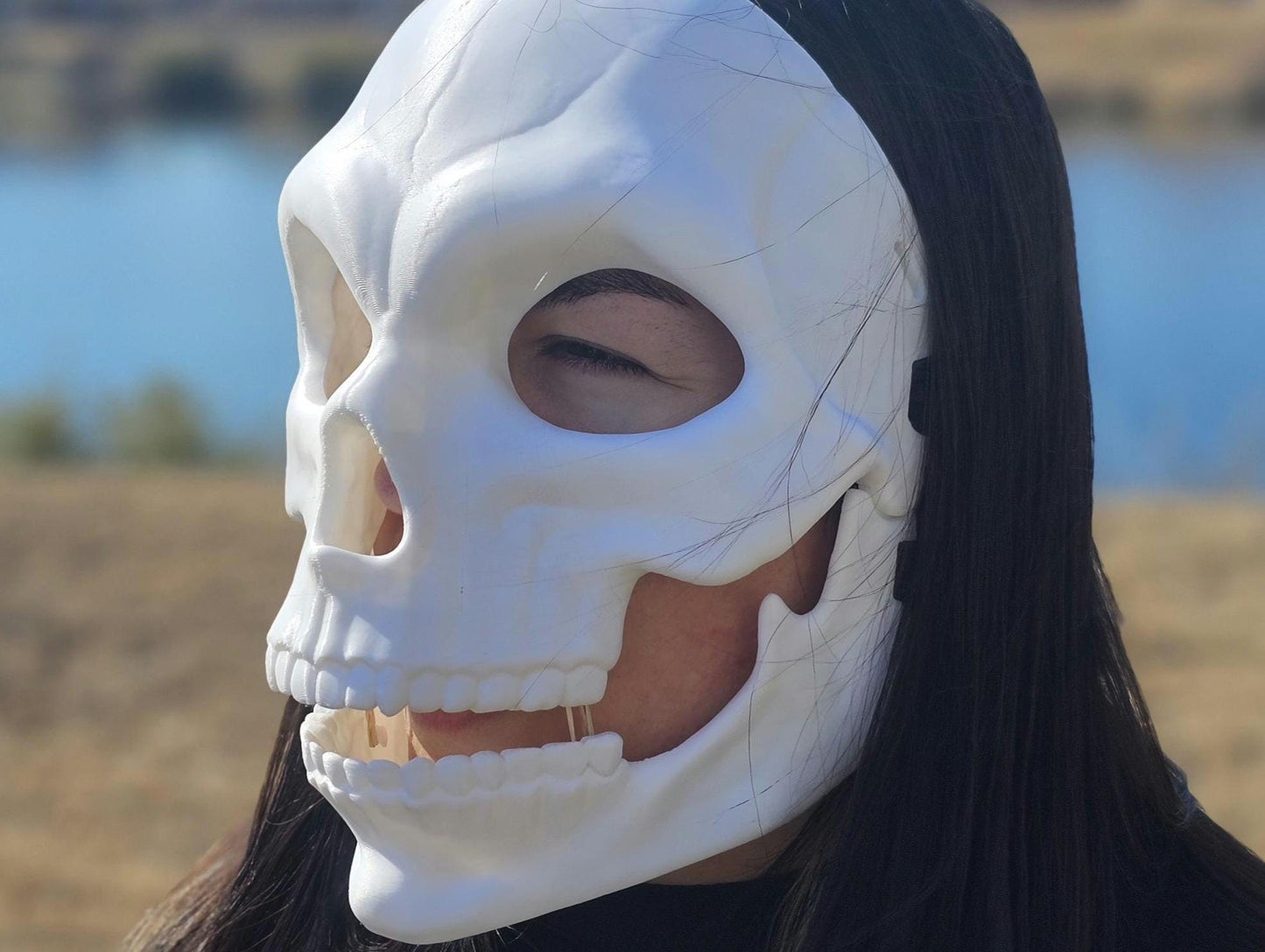 Human Skull Articulated Mask