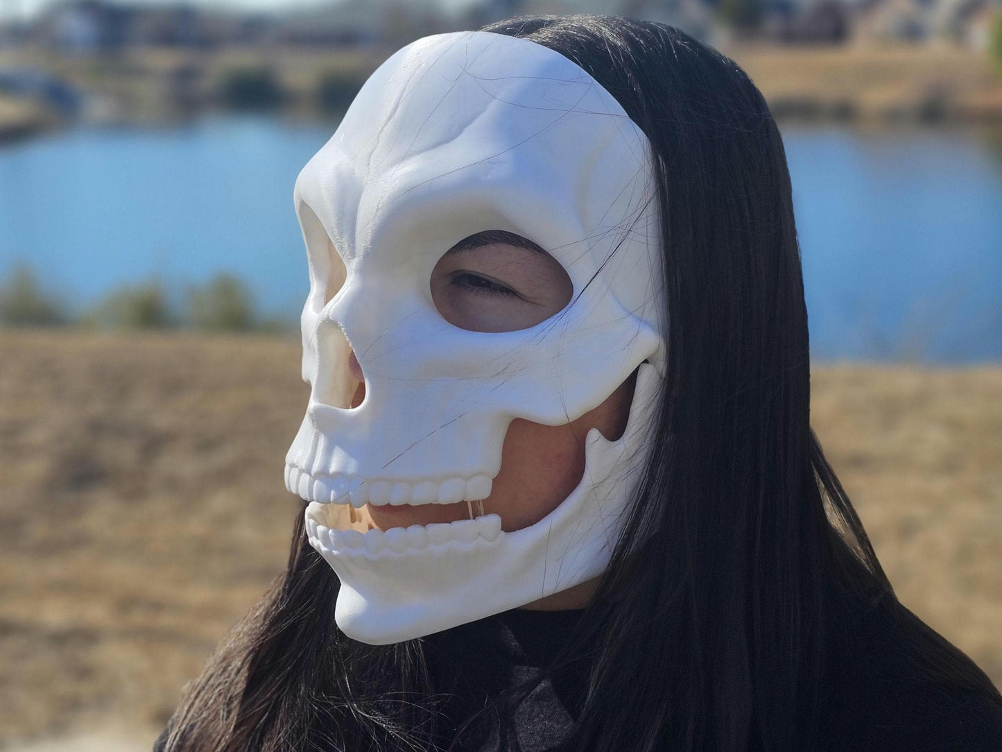 Human Skull Articulated Mask