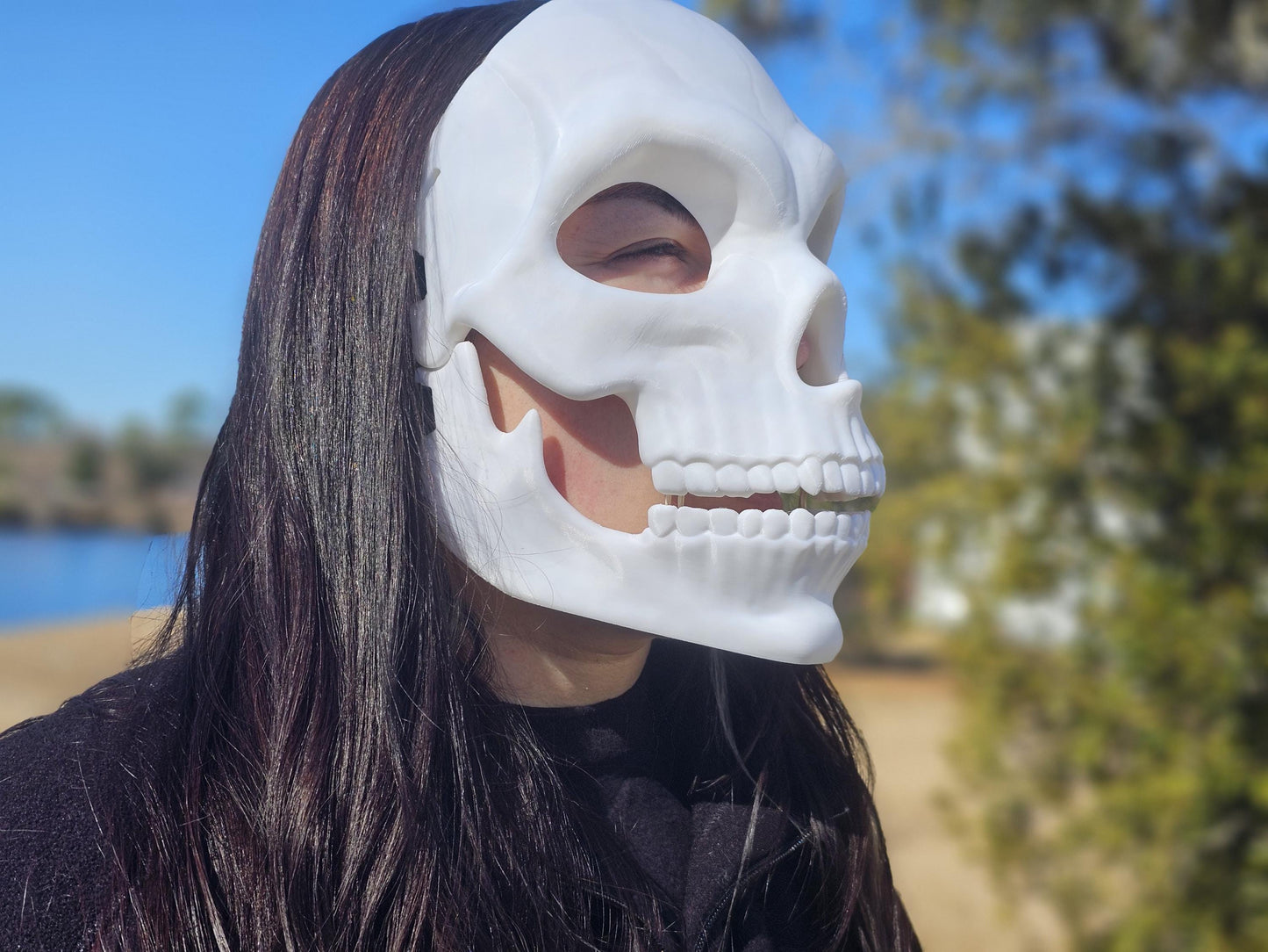 Human Skull Articulated Mask