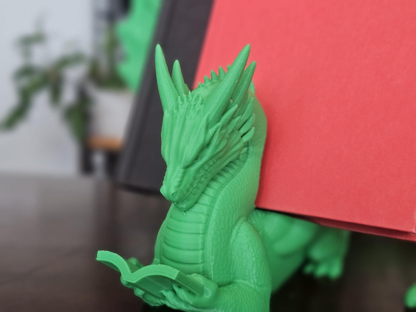 Winged Dragon Book Display