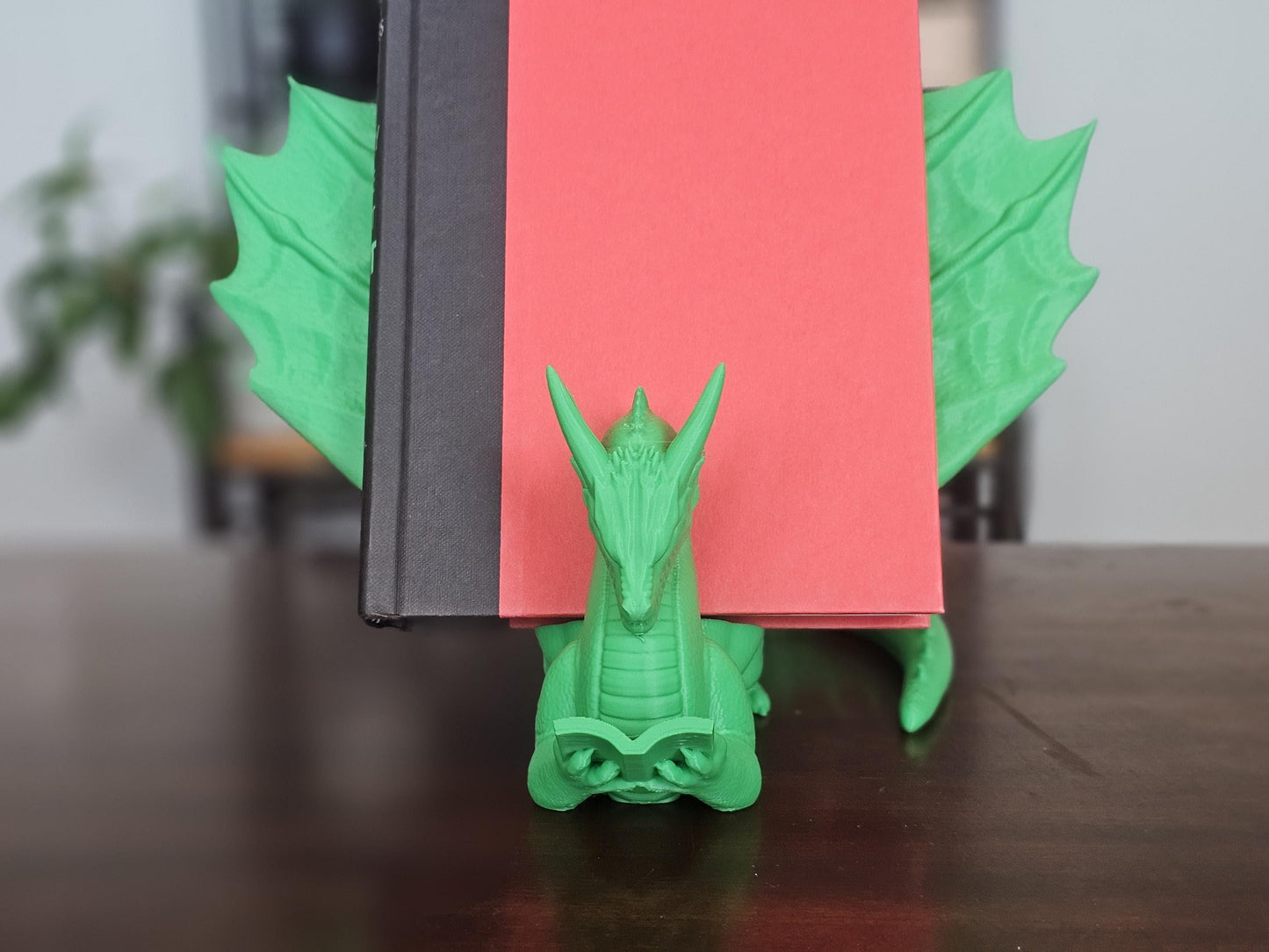 Winged Dragon Book Display