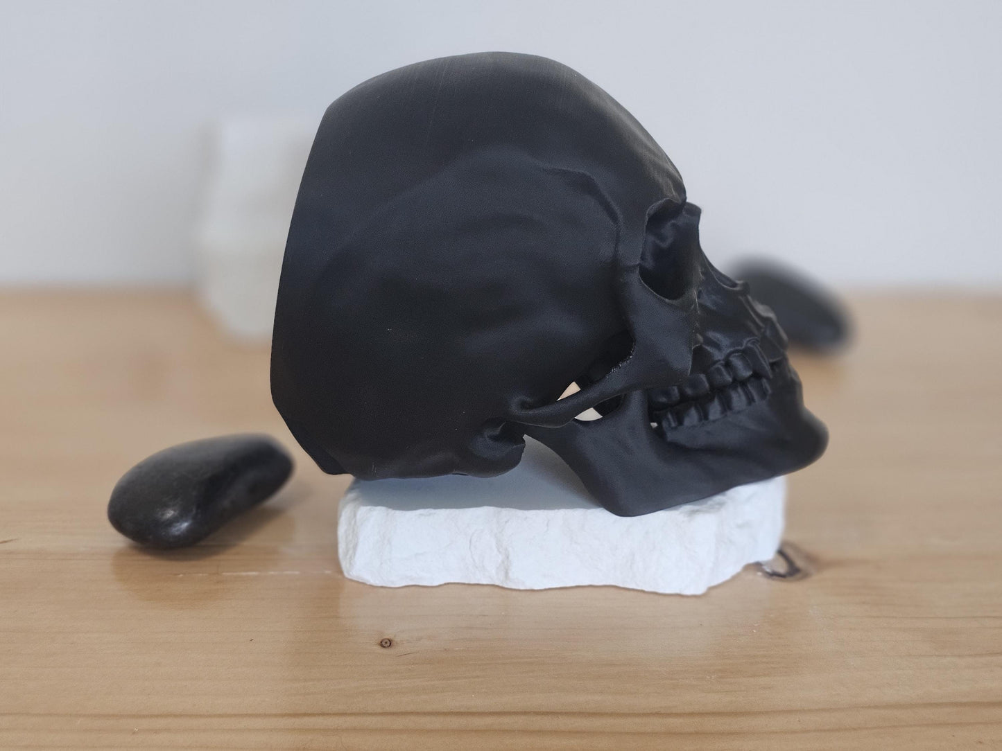 Articulating Vampire Human Skull