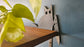 Funny Knife Cat Door Frame Topper
