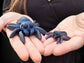 Posable Jumping Spider