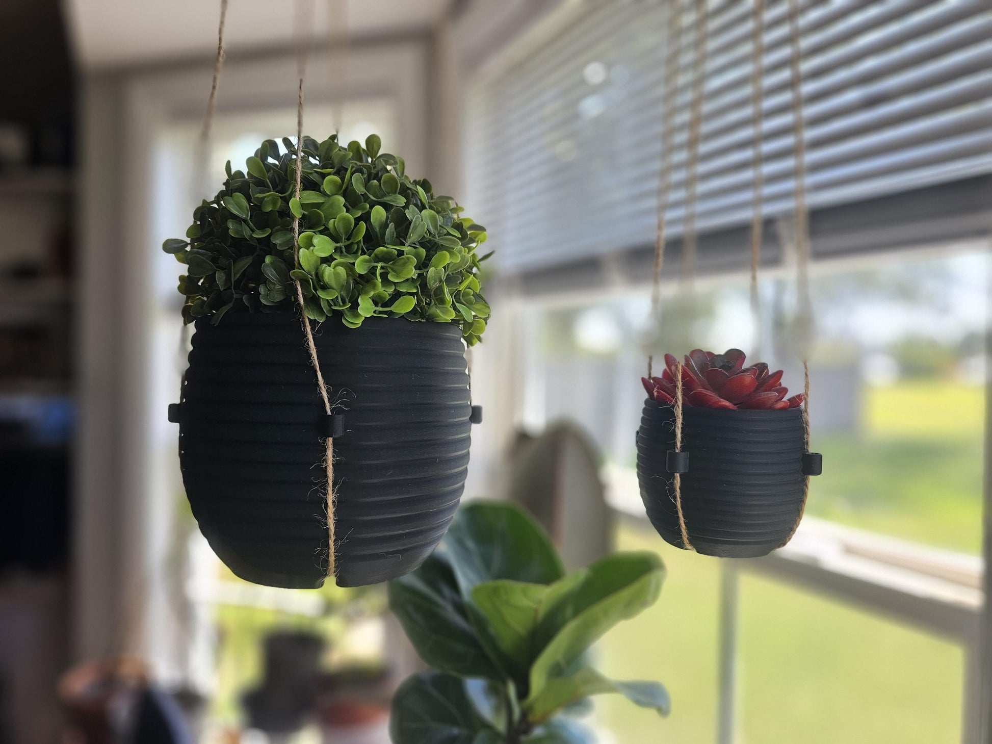 The Hive Hanging Indoor Planter