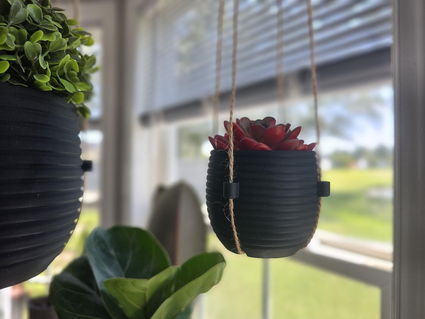The Hive Hanging Indoor Planter