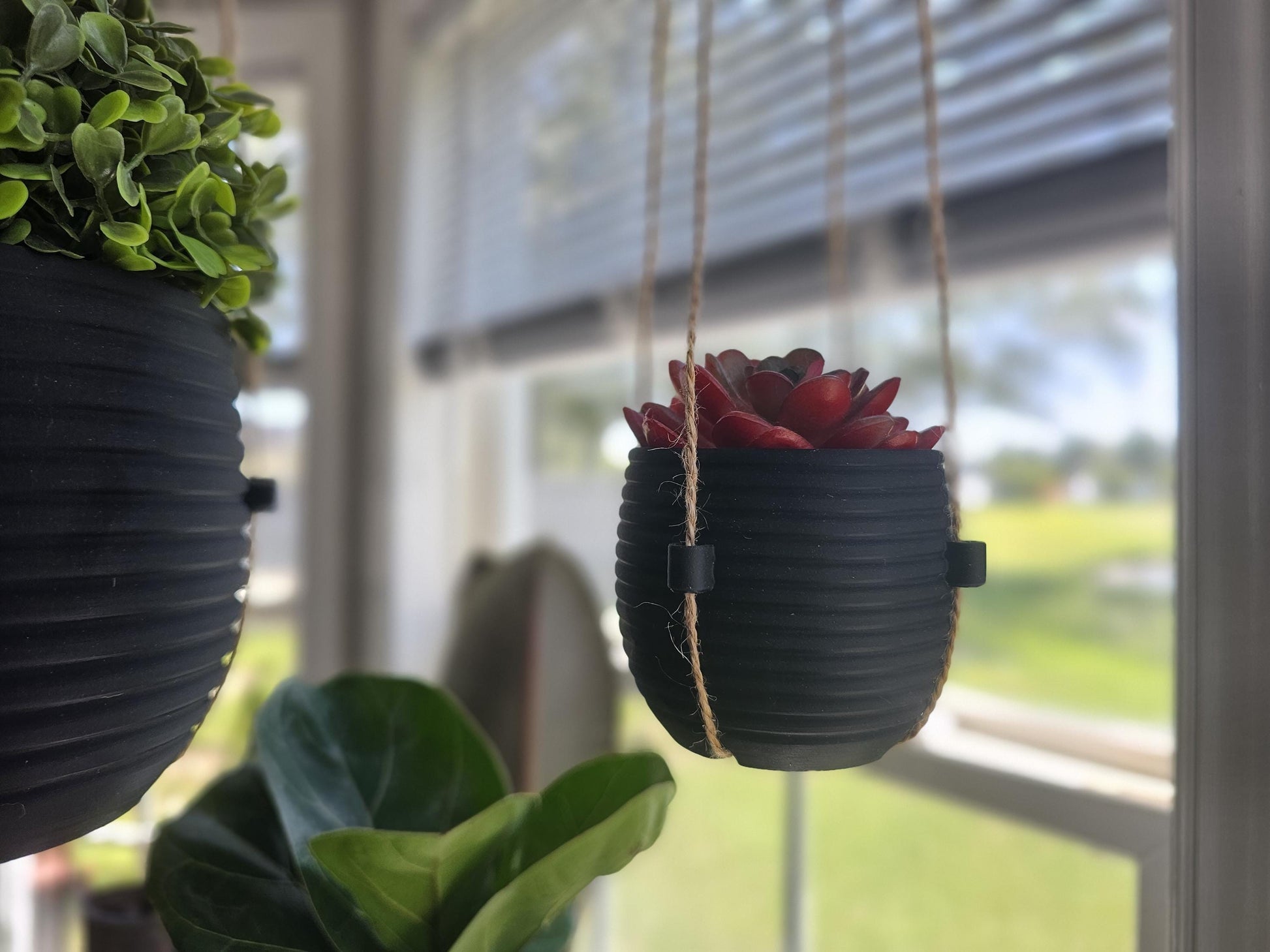 The Hive Hanging Indoor Planter