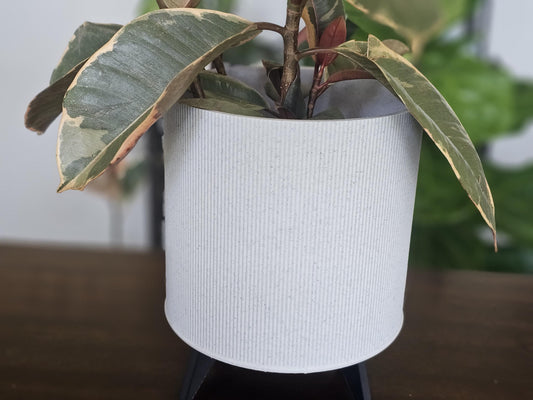 Tyler Indoor Planter With Drainage