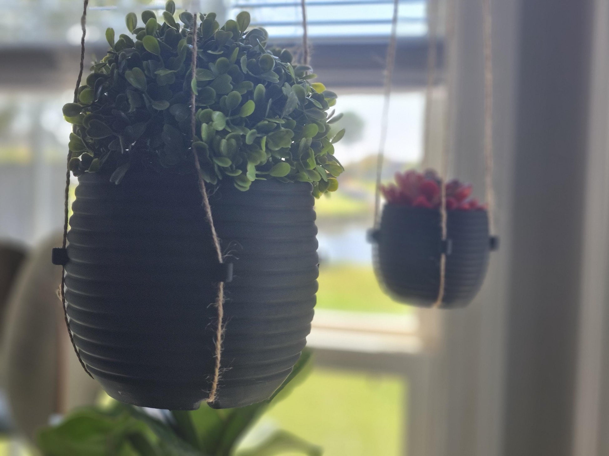 The Hive Hanging Indoor Planter