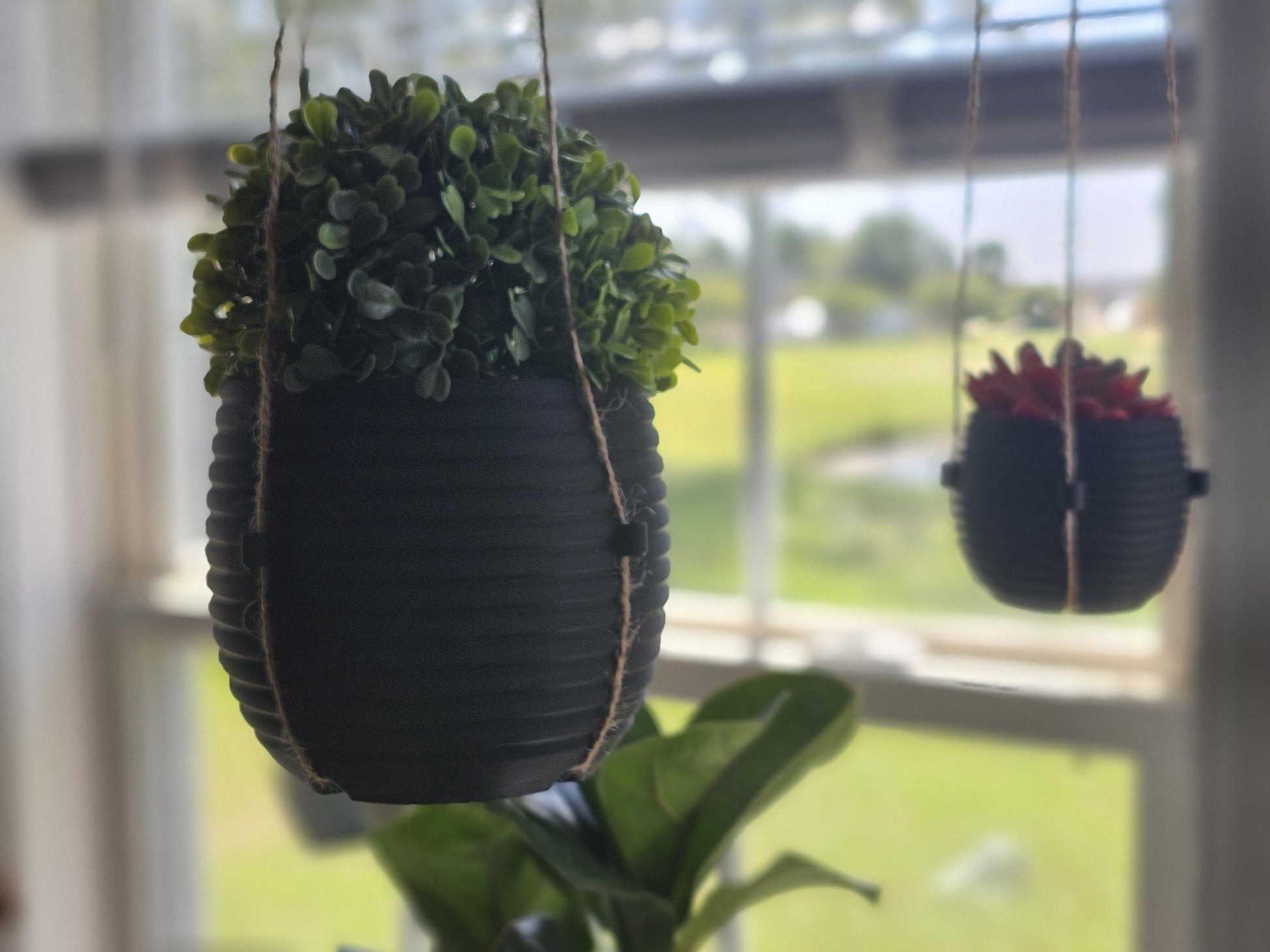 The Hive Hanging Indoor Planter