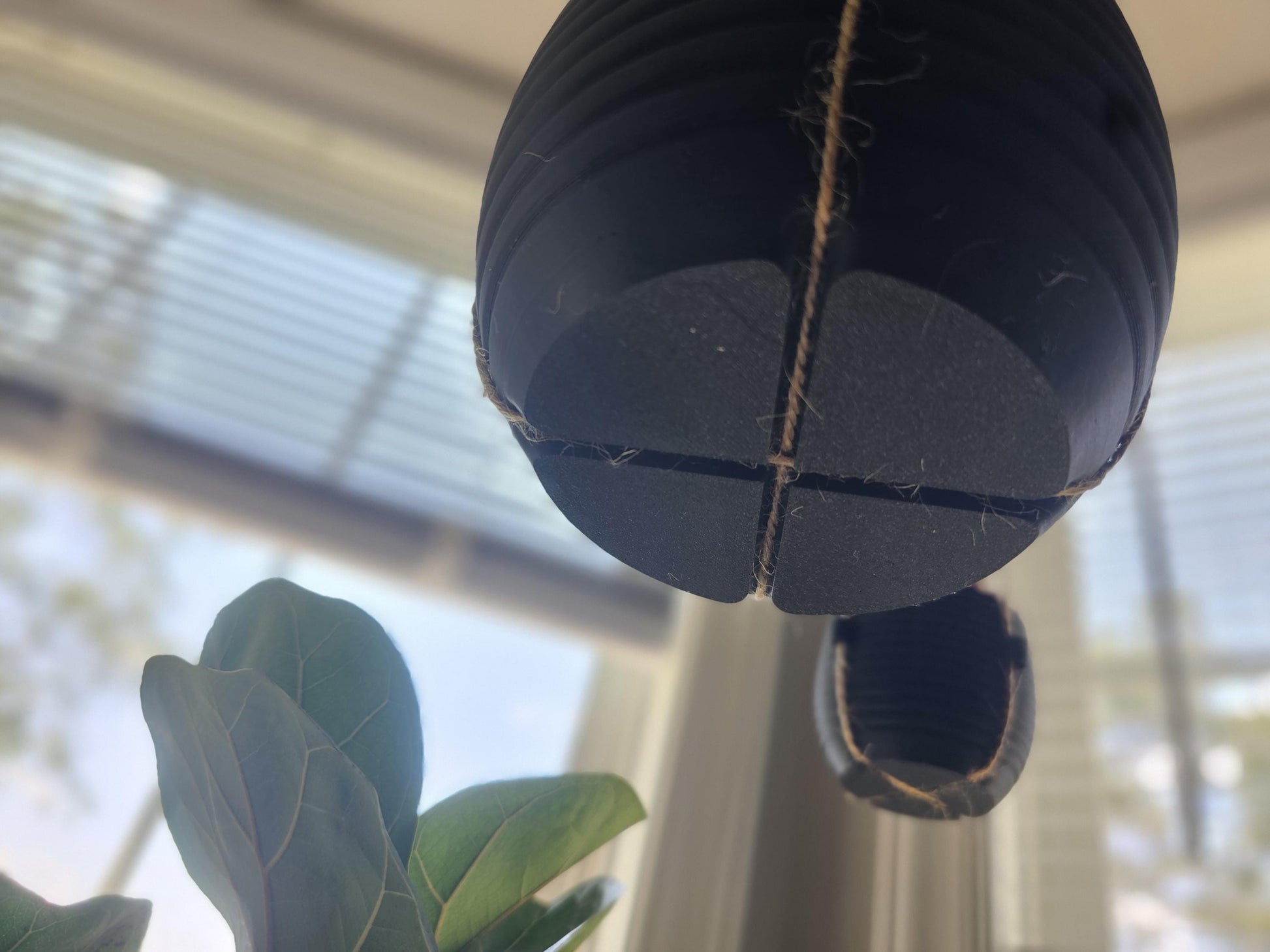 The Hive Hanging Indoor Planter