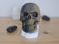Articulating Vampire Human Skull