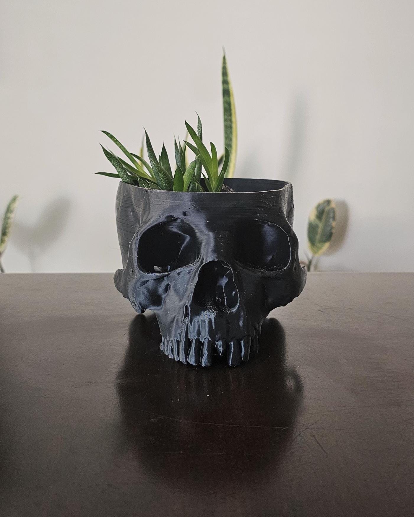Human Skull Planter Pot  8.5 Inch Gothic Skull Plant Holder, 3D Printed Indoor Planter, Dark Academia Home Decor, Macabre Shelf Display
