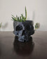 Human Skull Planter Pot  8.5 Inch Gothic Skull Plant Holder, 3D Printed Indoor Planter, Dark Academia Home Decor, Macabre Shelf Display