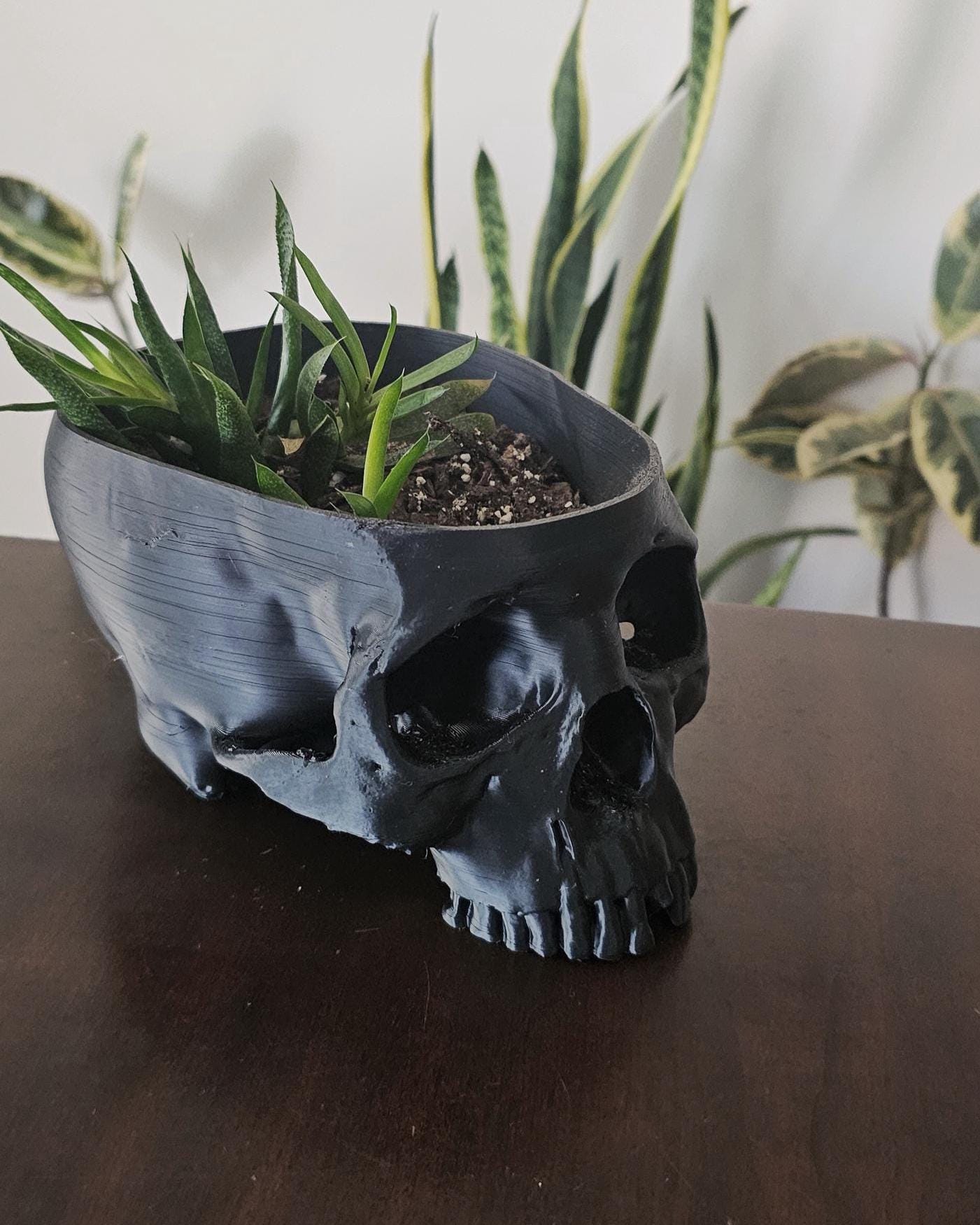 Human Skull Planter Pot  8.5 Inch Gothic Skull Plant Holder, 3D Printed Indoor Planter, Dark Academia Home Decor, Macabre Shelf Display