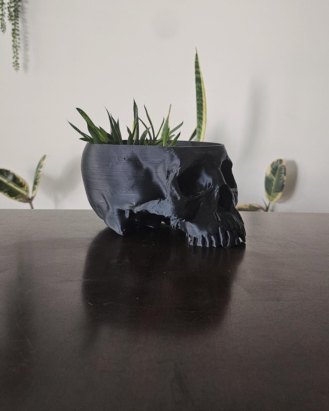 Human Skull Planter Pot  8.5 Inch Gothic Skull Plant Holder, 3D Printed Indoor Planter, Dark Academia Home Decor, Macabre Shelf Display