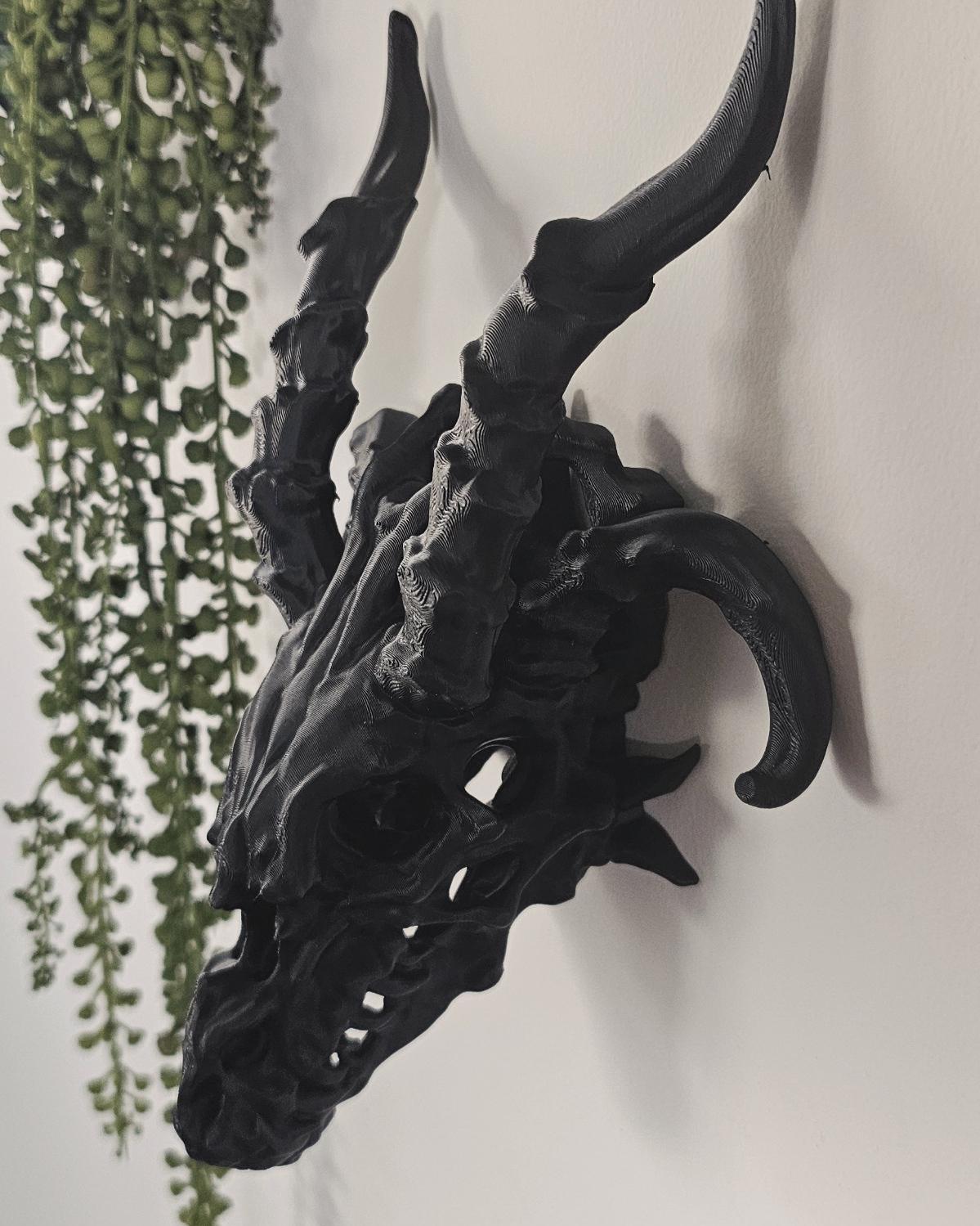 Dragon Skull Wall Decor  3D Printed Gothic Dragon Head Wall Mount, Dark Fantasy Skull Art, Medieval Creature Wall Sculpture