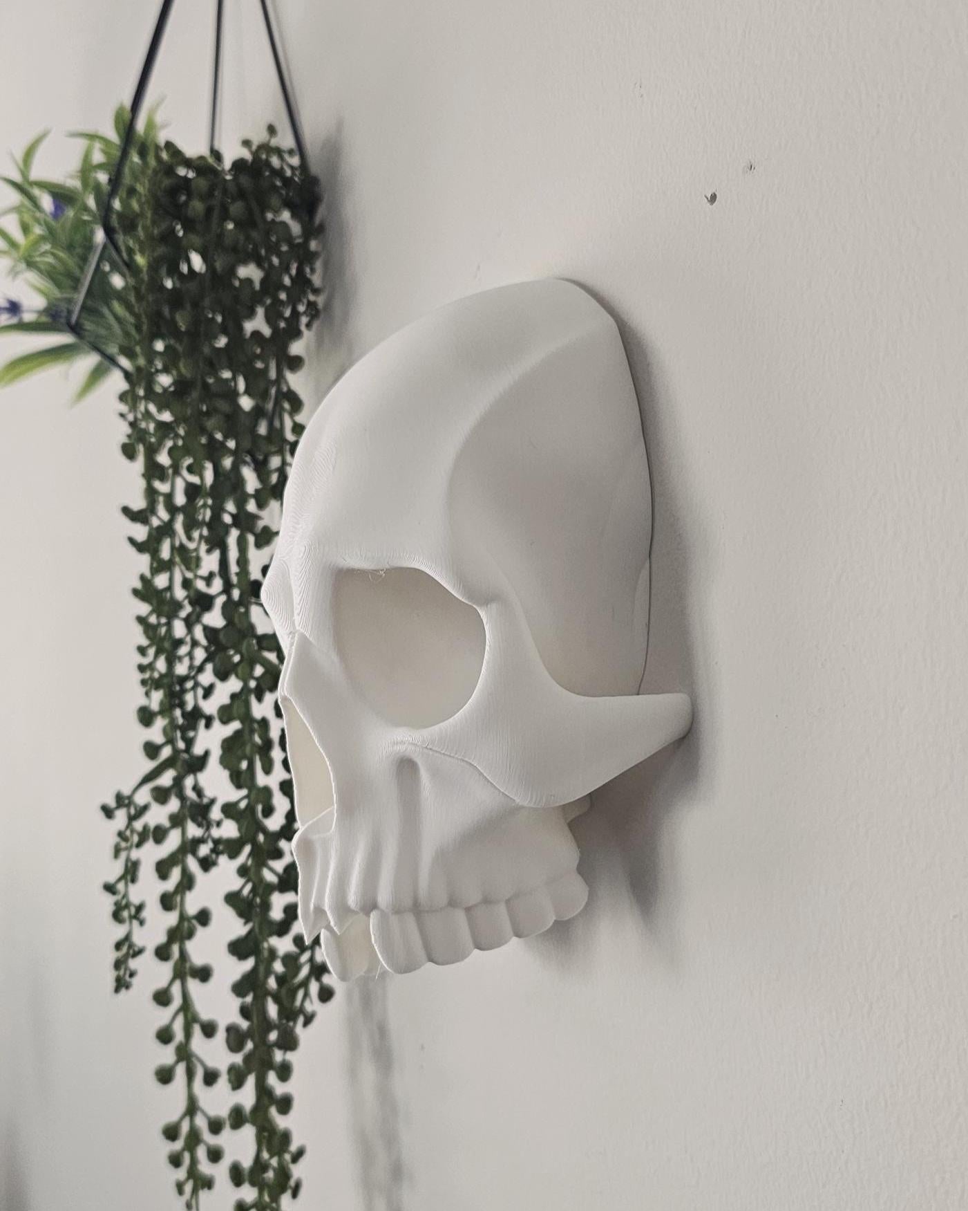 Skull Wall Decor with Hidden Compartment  Gothic Skull Wall Mount, Secret Storage Skull Art, Dark Home Decor