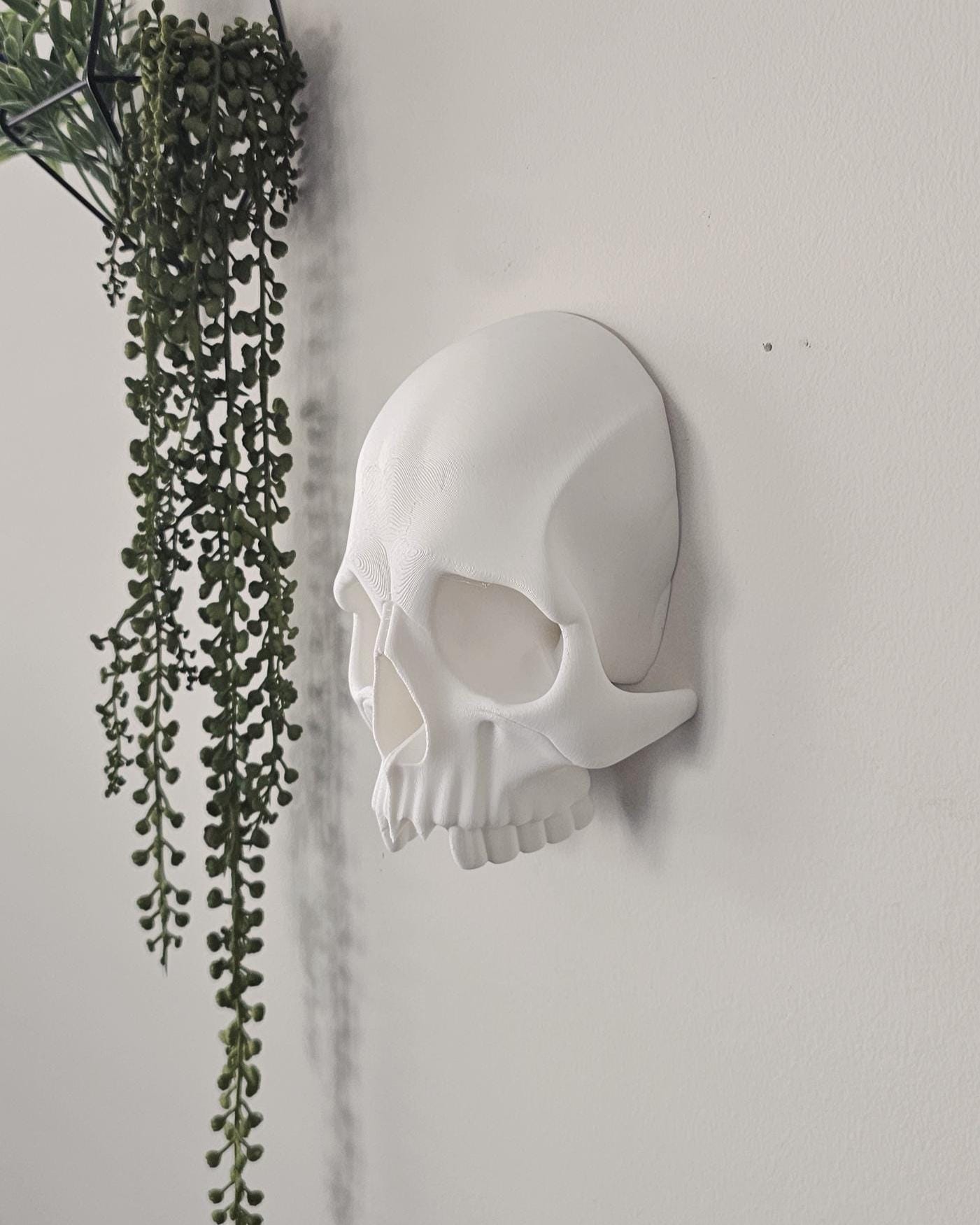 Skull Wall Decor with Hidden Compartment  Gothic Skull Wall Mount, Secret Storage Skull Art, Dark Home Decor