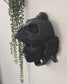 Santa Catrina Sugar Skull Wall Art  Gothic Day of the Dead Decor, 3D Printed Floral Skull Wall Sculpture, Sugar Skull, Santa Muerte