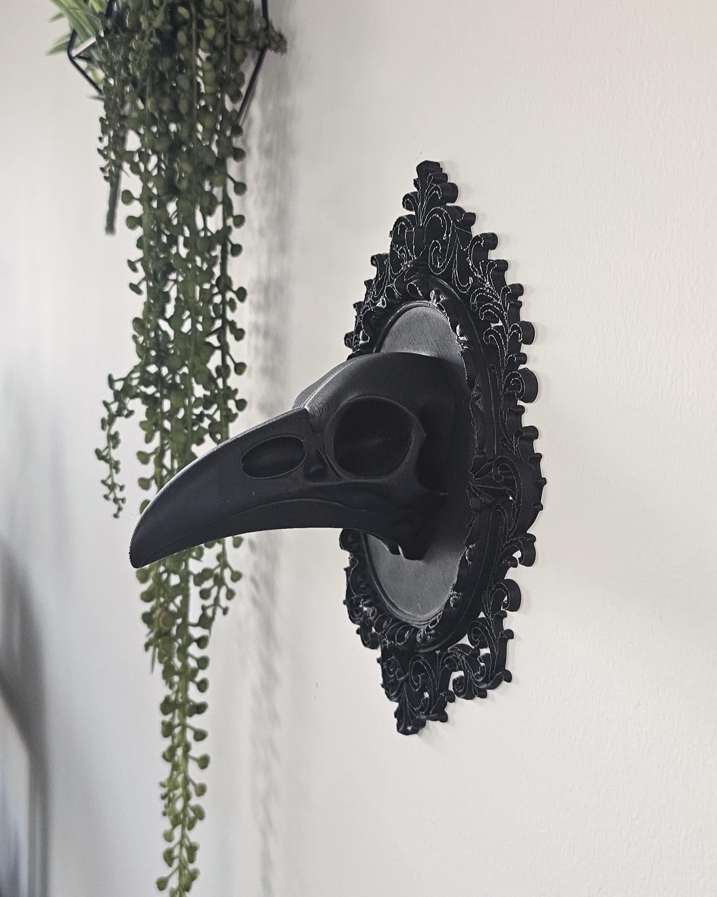 Gothic Raven Skull Wall Plaque  Ornate Victorian Frame Wall Mount, Dark Academia Curiosity Decor, Macabre Gothic Wall Art Display
