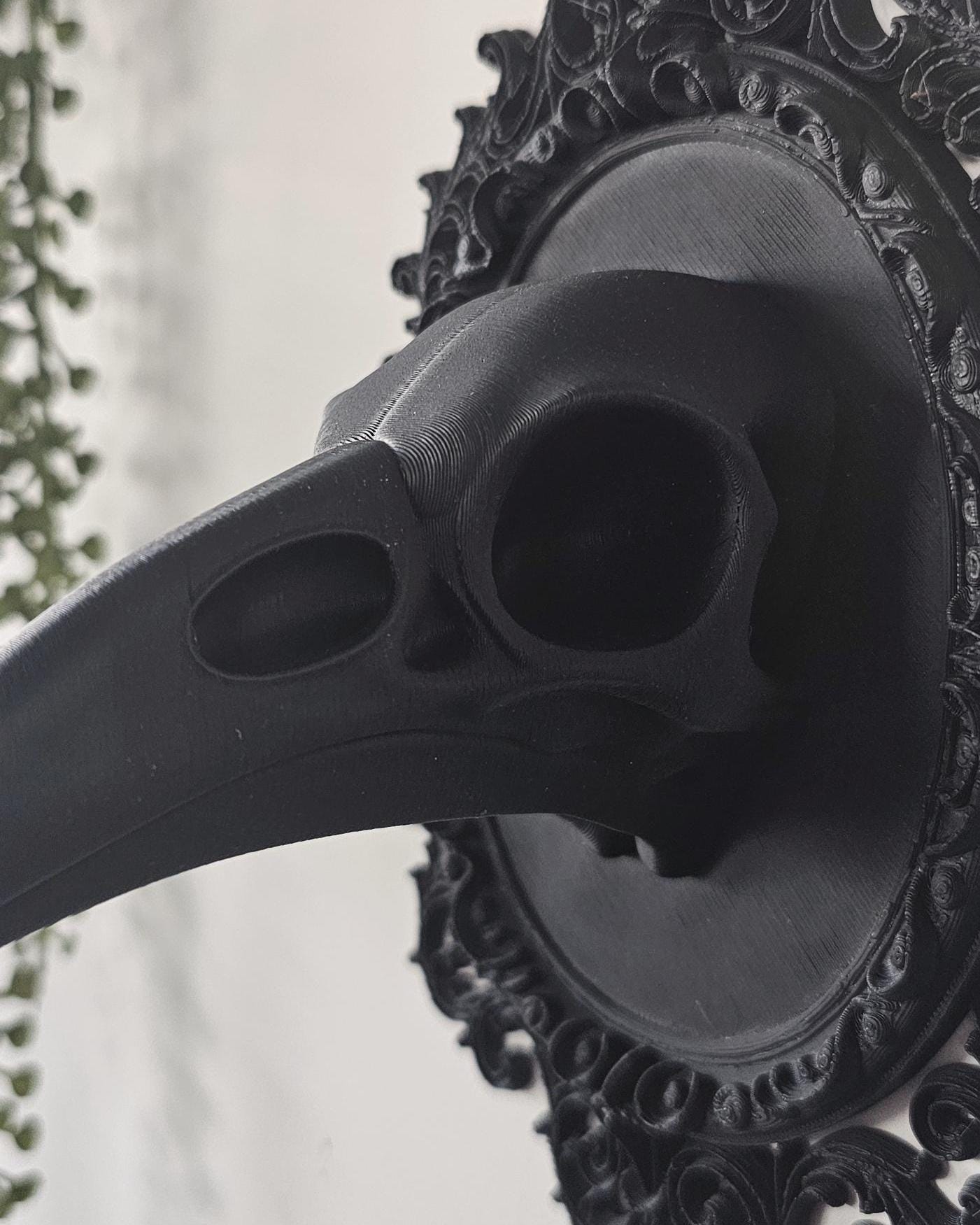 Gothic Raven Skull Wall Plaque  Ornate Victorian Frame Wall Mount, Dark Academia Curiosity Decor, Macabre Gothic Wall Art Display