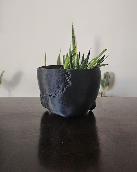 Human Skull Planter Pot  8.5 Inch Gothic Skull Plant Holder, 3D Printed Indoor Planter, Dark Academia Home Decor, Macabre Shelf Display