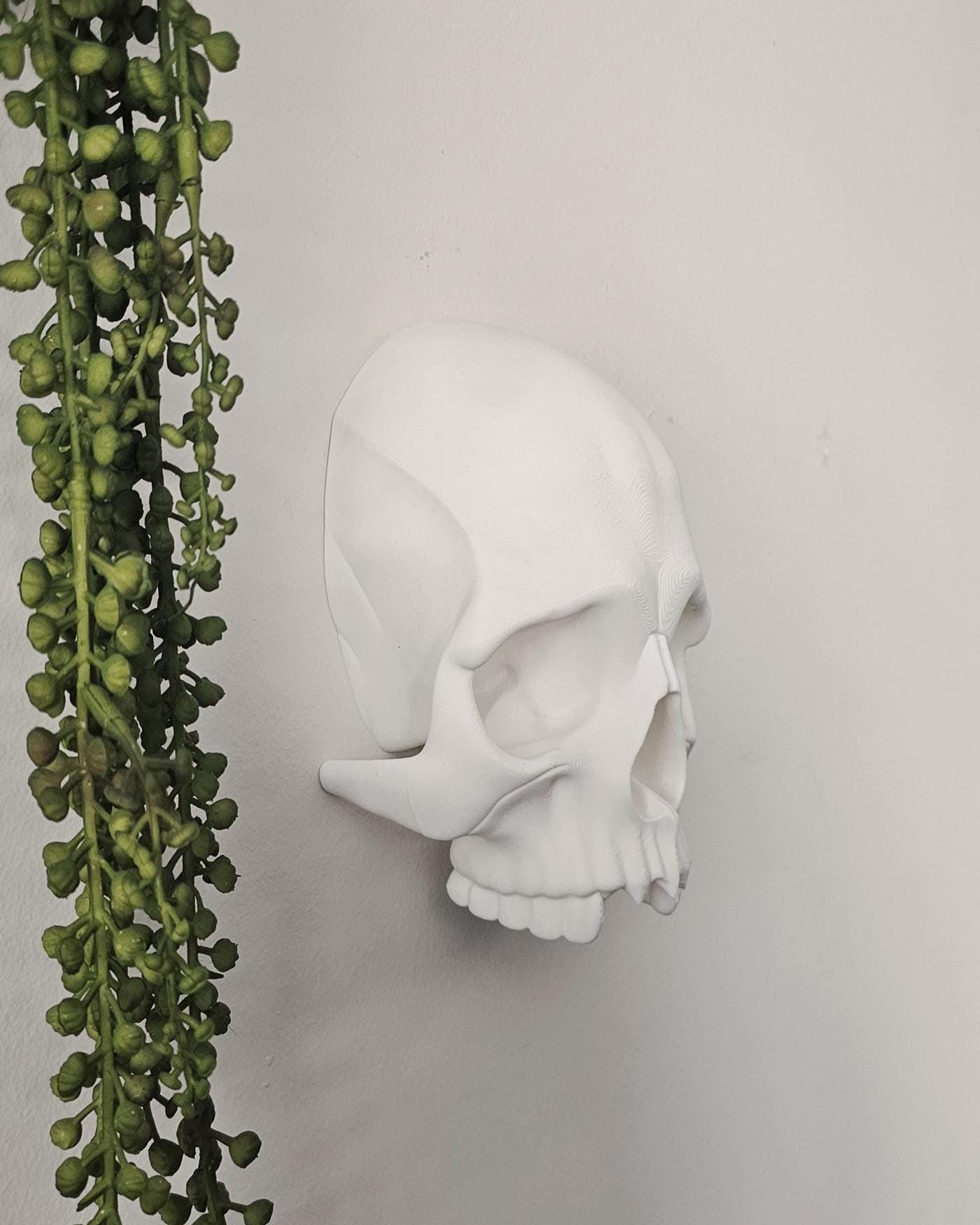 Skull Wall Decor with Hidden Compartment  Gothic Skull Wall Mount, Secret Storage Skull Art, Dark Home Decor