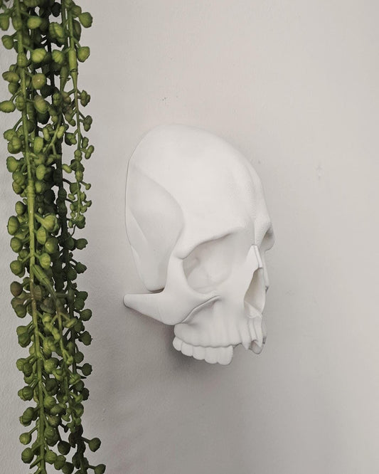 Skull Wall Decor with Hidden Compartment  Gothic Skull Wall Mount, Secret Storage Skull Art, Dark Home Decor