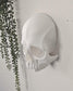 Skull Wall Decor with Hidden Compartment  Gothic Skull Wall Mount, Secret Storage Skull Art, Dark Home Decor