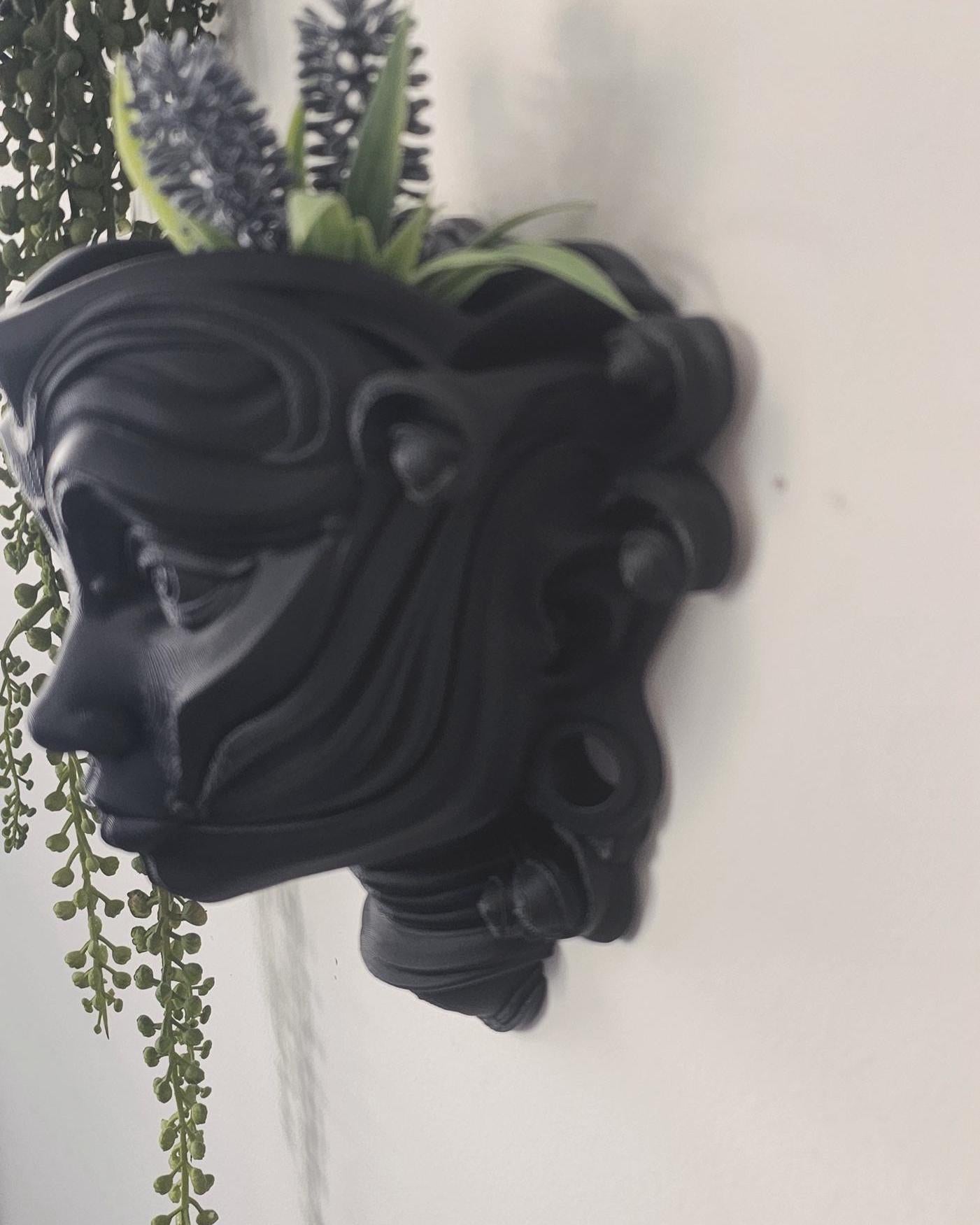 Luna Goddess Wall Planter  Moon Face 3D Printed Wall Planter, Celestial Goddess Decor, Spiritual Feminine Home Accent Gift